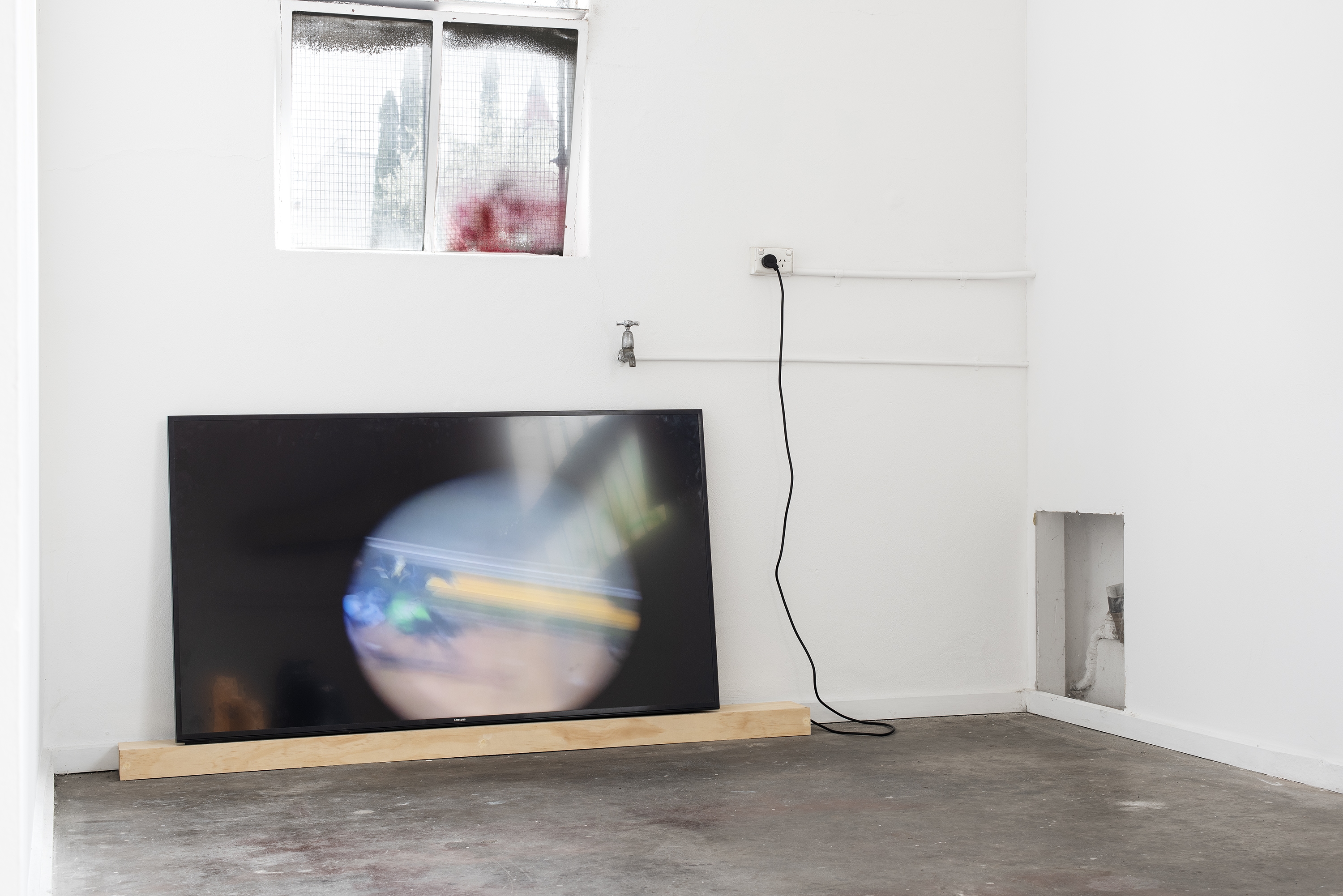 PAW CASSIAN thumbnail image