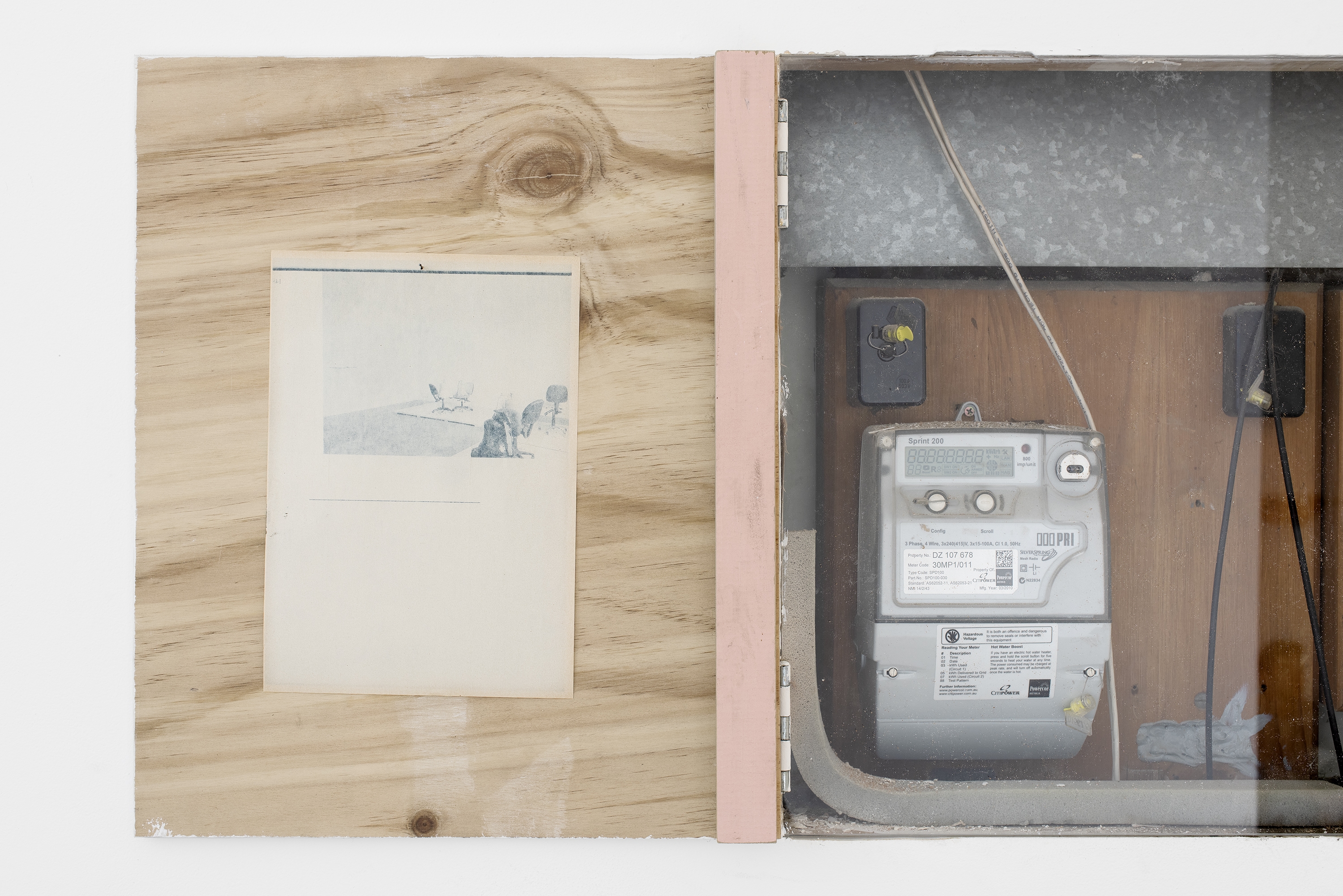 PAW CASSIAN thumbnail image