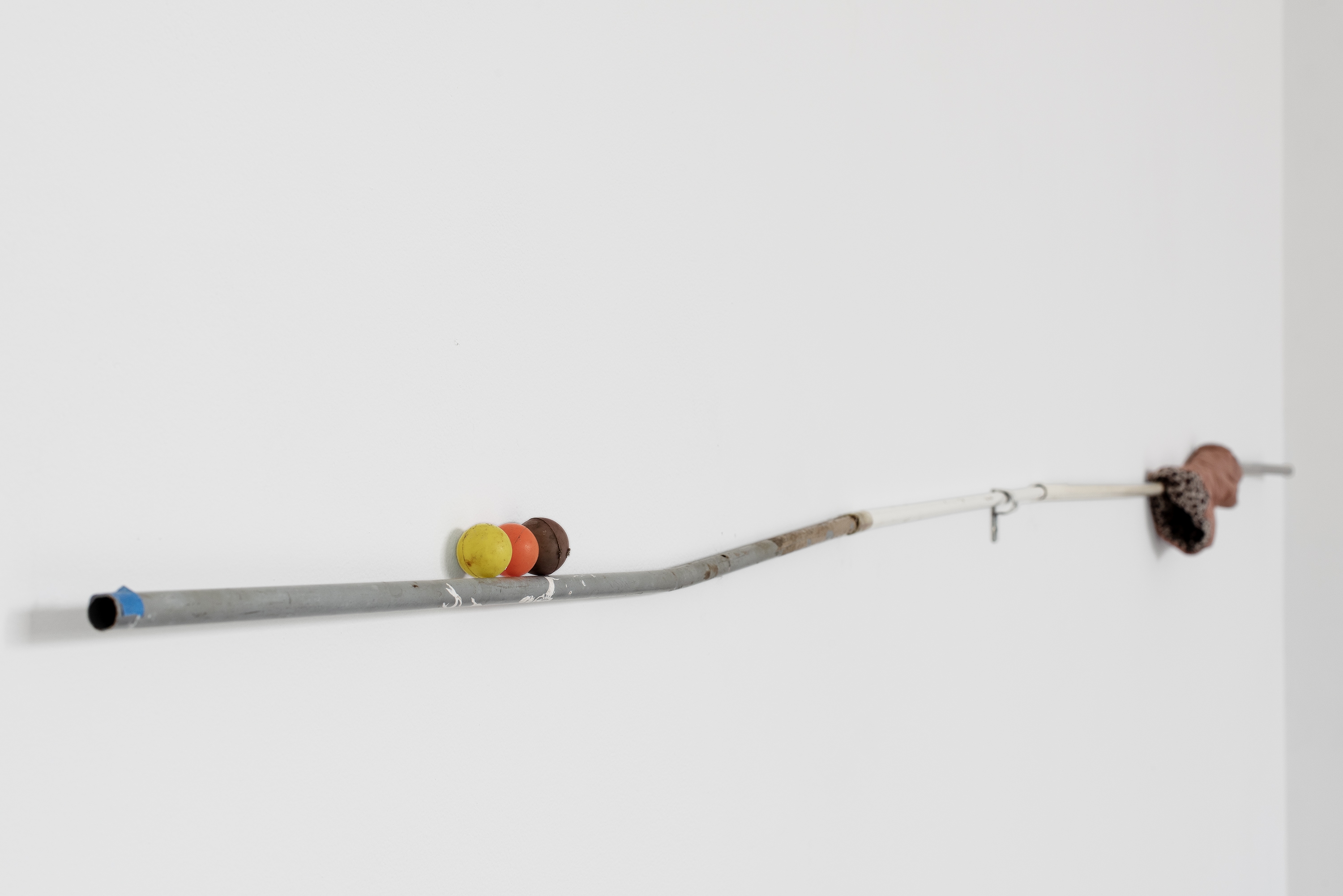 PAW CASSIAN thumbnail image