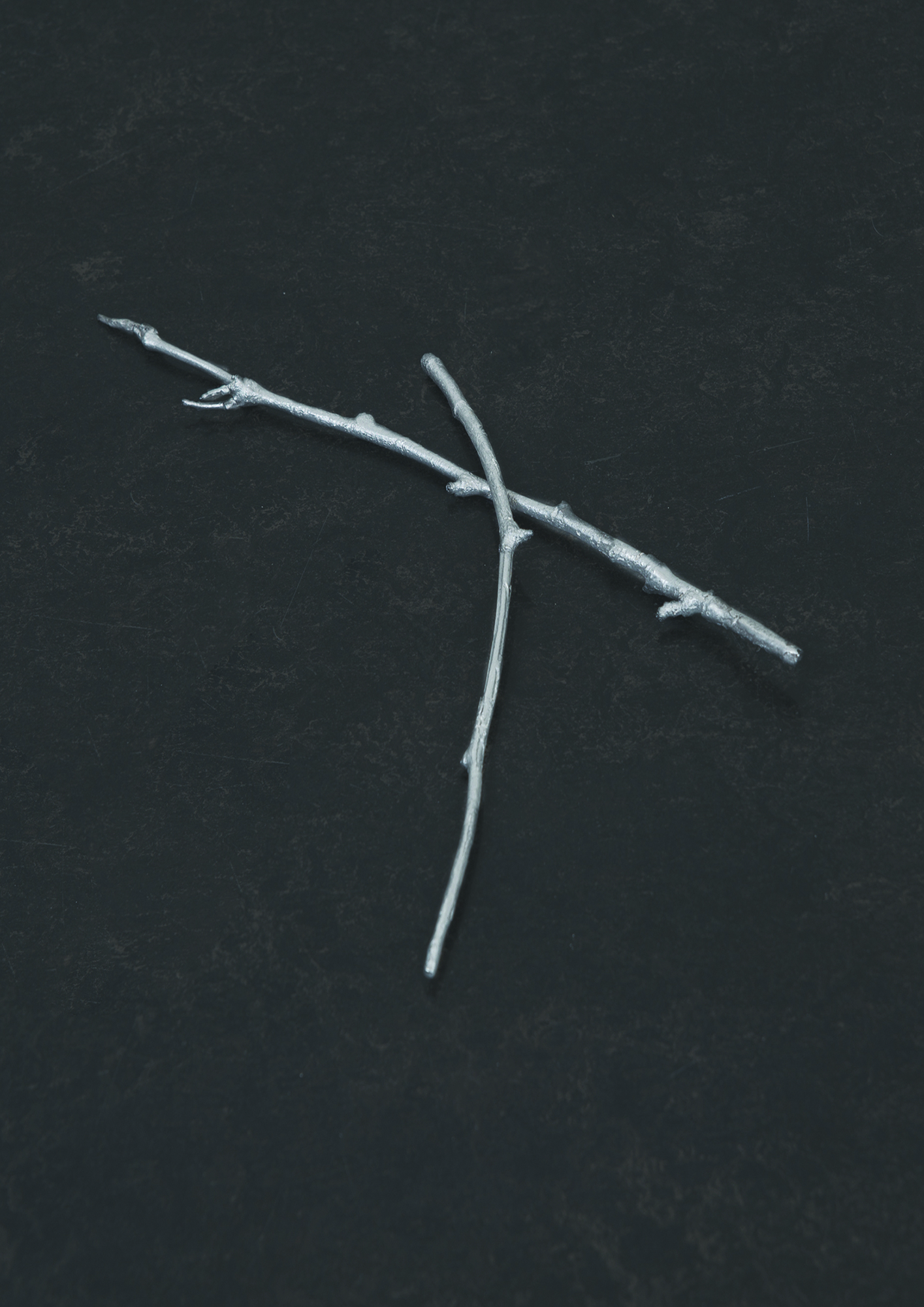 song of an unseen bird thumbnail image